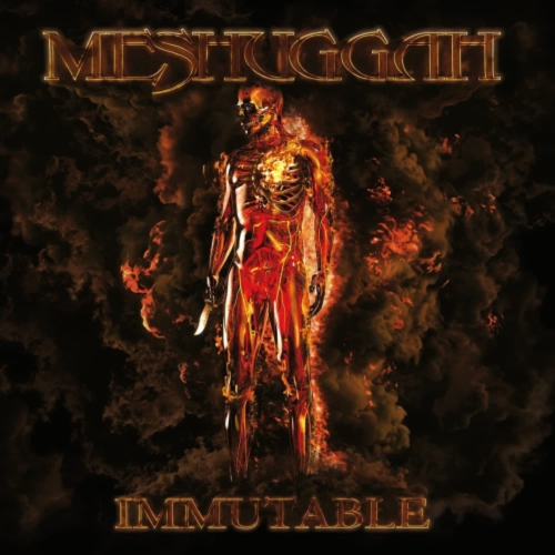 Meshuggah - Immutable - - [Vinyl]