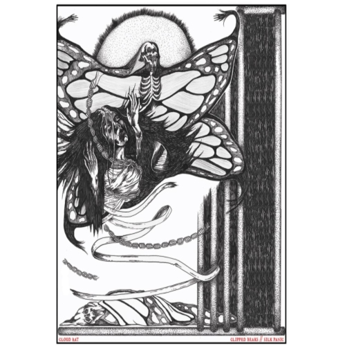 Cloud Rat - Clipped Beaks / Silk Panic - [CD]
