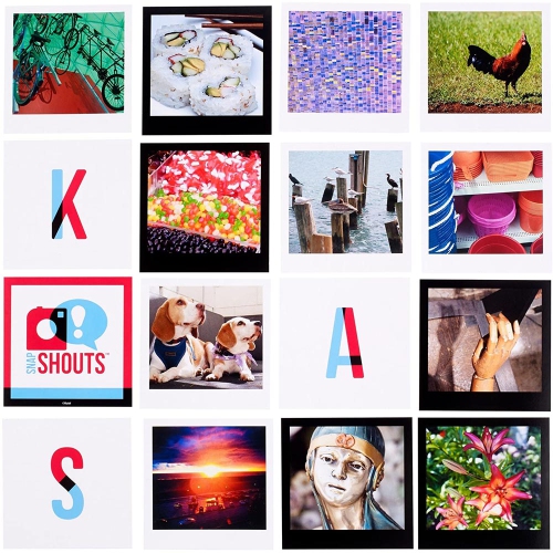 Snapshouts Card Game