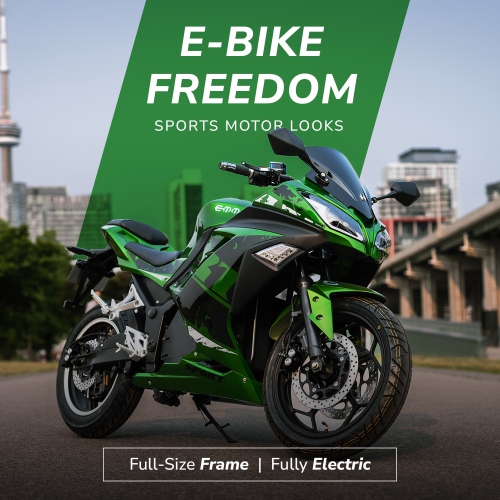 Emmo Zone MAX eBike - Electric Motorcycle eBike - 84V20Ah SLA - Full Size E Bike - Green - QS Super Torque Motor