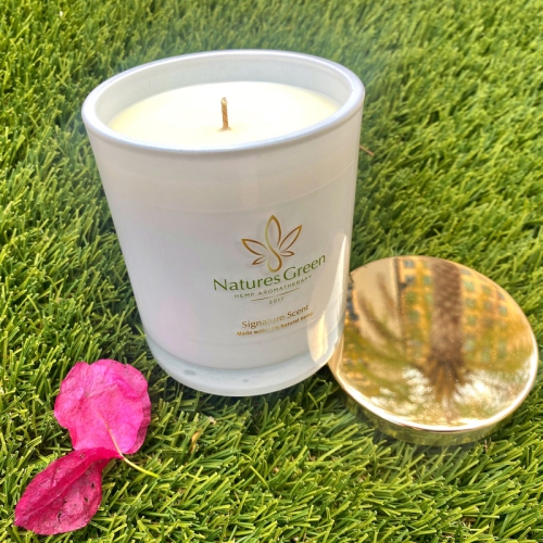 V For Vibes Hemp Candle, Aromatherapy Candle - Nature's Green