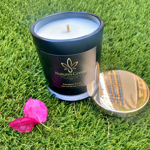 V For Vibes Hemp Candle, Aromatherapy Candle - Nature's Green