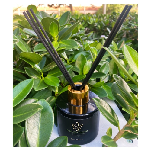 V For Vibes Hemp Aromatherapy Reed Diffuser - Nature's Green