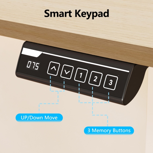 IMGadgets Standing Electric Adjustable Desk with Table Top 47” x 24” | Height Adjustable Desk for Work and Home | 3-Memory Settings, Min Height 28.3"