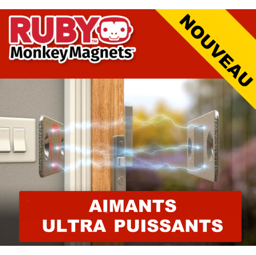 Ruby® Monkey Magnets- Set of 8