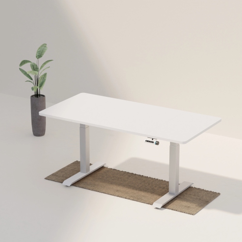 Wenhome Dual Motor Standing Desk, Rise desk, 70.8”x31.5” Large Desktop Included, Anti-collision- White, 5-year Warranty, Free Shipping