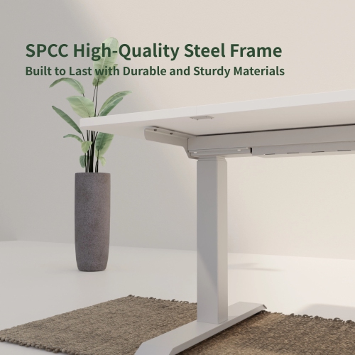 Wenhome Dual Motor Standing Desk, Rise desk, 70.8”x31.5” Large Desktop Included, Anti-collision- White, 5-year Warranty, Free Shipping