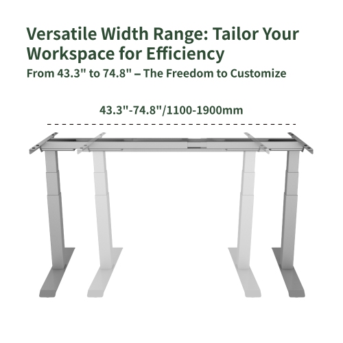 Wenhome Dual Motor Standing Desk, Rise desk, 70.8”x31.5” Large Desktop Included, Anti-collision- Silver, 5-year Warranty, Free Shipping
