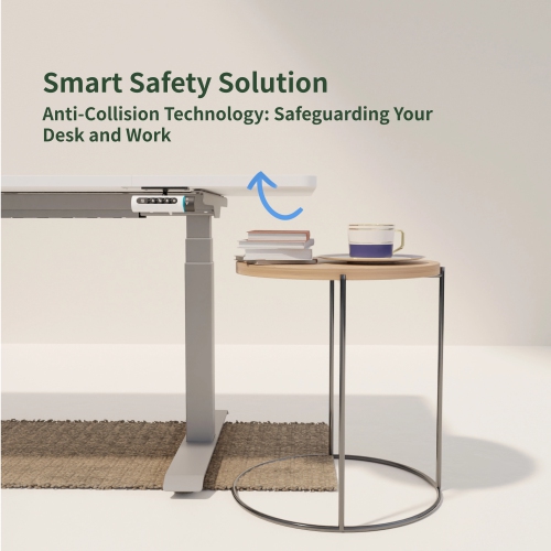 Wenhome Dual Motor Standing Desk, Rise desk, 70.8”x31.5” Large Desktop Included, Anti-collision- Silver, 5-year Warranty, Free Shipping