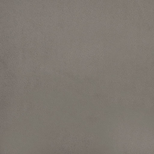 Chaises de salle à manger 2 pièces en velours gris pâle