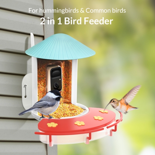 Mangeoire pour colibris avec caméra Netvue, mangeoire pour oiseaux sauvages  2 en 1, oiseau à capture automatique