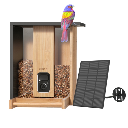 Mangeoire intelligente améliorée Netvue Birdfy avec caméra solaire