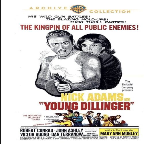 WARNER  Young Dillinger - [DVD]