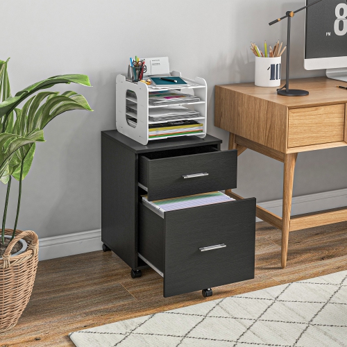 Vinsetto Vertical Filing Cabinet with Wheels, 2-Drawer Mobile File Cabinet, Office Storage Cabinet for Letter or A4 File, Study Home Office, Black