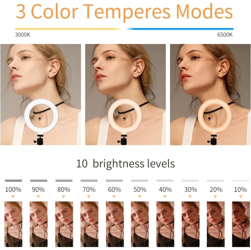 Anneau lumineux 6 pour ordinateur portatif, éclairage M Wecam pour trousse de vidéoconférence, petites lampes de bureau avec trépied et pince pour