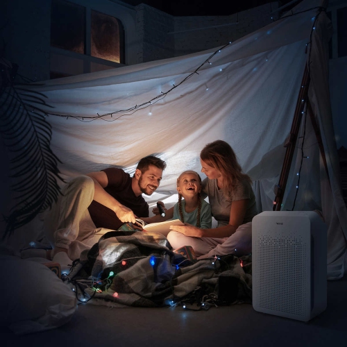 Purificateur d'air à C545 4 étapes de Winix avec Wi-Fi et technologie PlasmaWave