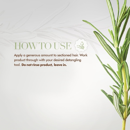 Shampooing et revitalisant sans rinçage romarin Mielle Organics infusé de biotine, 12&nbsp;oz