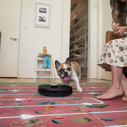 Aspirateur robot Austin PetHair SLAM de Bobsweep - Espresso