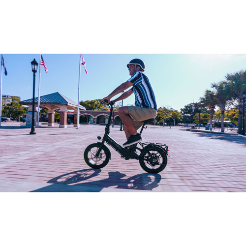 Blutron EB350F 350W Foldable Compact Electric Bike - Black - Exclusive Retail Partner