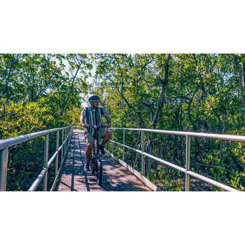 Blutron EB350F 350W Foldable Compact Electric Bike - Black - Exclusive Retail Partner