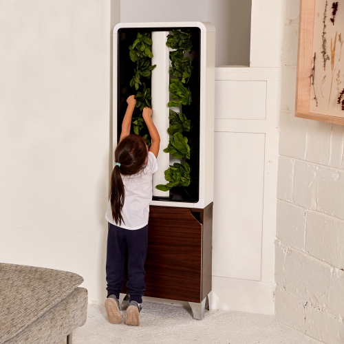 Just Vertical - The Automated EVE Indoor Smart Garden