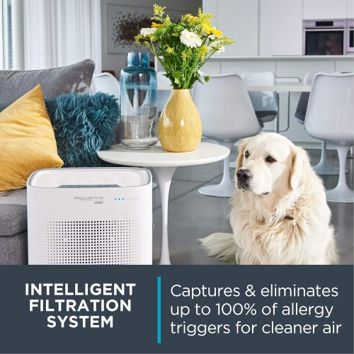 Rowenta Pure Connect Air Purifier, Medium, White