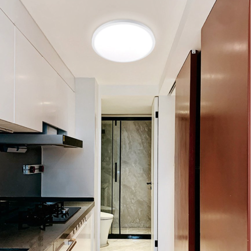 2 PACK- Flush mount ceiling light 12 Inch 28 Watt 2835 Lumens 6000K cool white