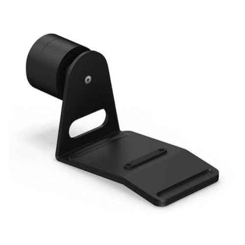 FLEXSON Wall Mount for Sonos Era 300 Speaker