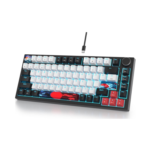 NIERBO  Wi 75% Percent Mechanical Keyboard, Hot Swappable Switch, Tkl Mechanical Keyboard, Gasket Mount, RGB Backlit Nkro Compact Gaming Keyboard \w