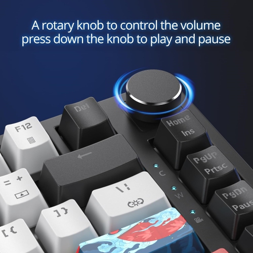 Wired 75% Percent Mechanical Keyboard, Hot Swappable, Red Switch, TKL Mechanical Keyboard, Gasket Mount, RGB Backlit NKRO Compact Gaming Keyboard