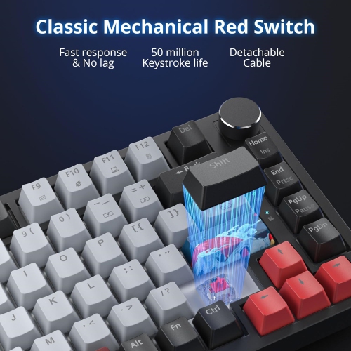 Wired 75% Percent Mechanical Keyboard, Hot Swappable, Red Switch, TKL Mechanical Keyboard, Gasket Mount, RGB Backlit Compact Gaming Keyboard with