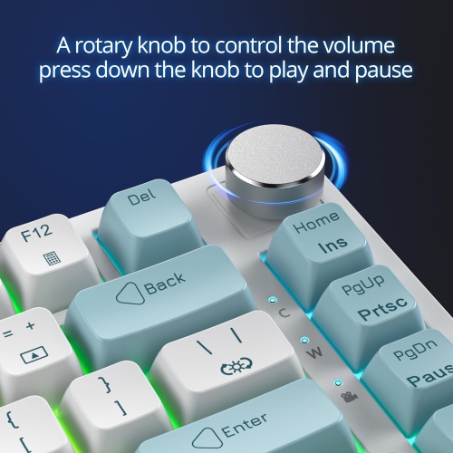 Wired 75% Percent Mechanical Keyboard, Hot Swappable, Red Switch, TKL Mechanical Keyboard, Gasket Mount, RGB Backlit Compact Gaming Keyboard with