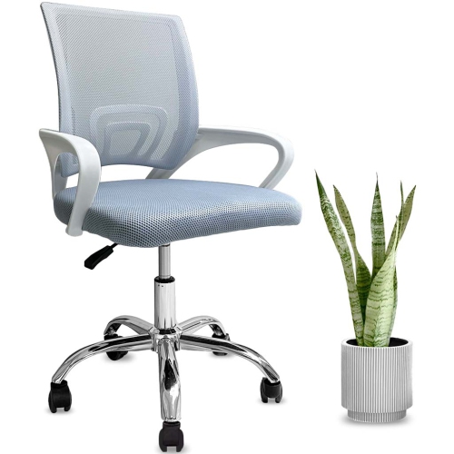 MotionGrey Mesh Series Executive Ergonomic Computer Desk Home Office Chair with Mesh Back White