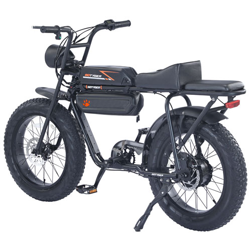 Image 3 of 8.. Gotyger EarthRider Fat Tire Electric Cargo Bike - Black