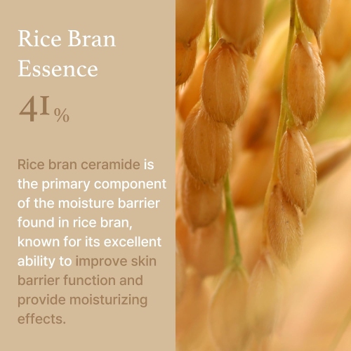 [I'm From] Rice Cream 1.69 Ounce, 41% rice bran essence with ceramide