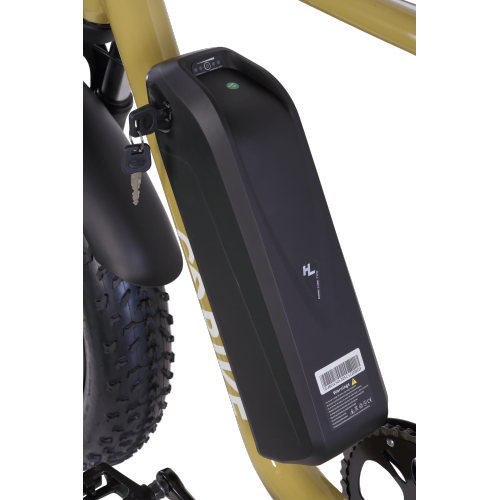 SOLDADO 750W Dual-Passanger Electric Off Road Bike - Desert