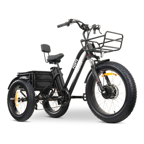 Vélo électrique FORTE-MAX | tricycle électrique 750&nbsp;W - Noir