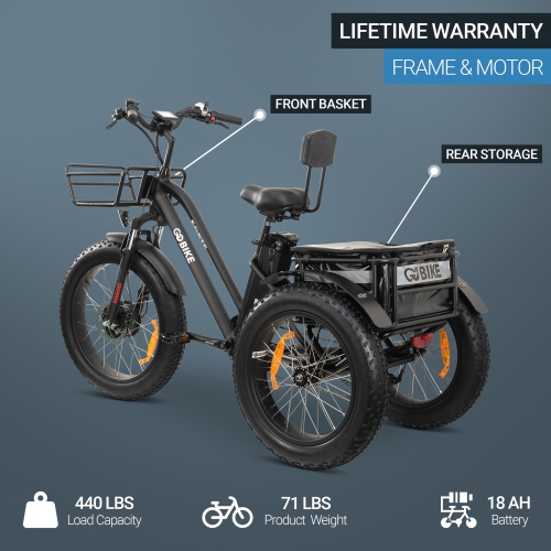 FORTE-MAX EBike | 750W Electric Tricycle - Black