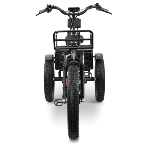 FORTE-MAX EBike | 750W Electric Tricycle - Black