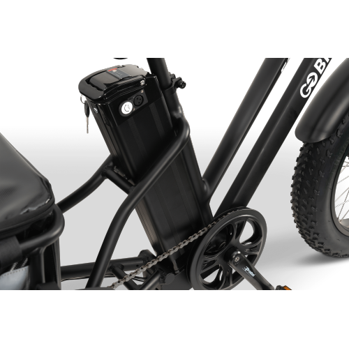 FORTE-MAX EBike | 750W Electric Tricycle - Black