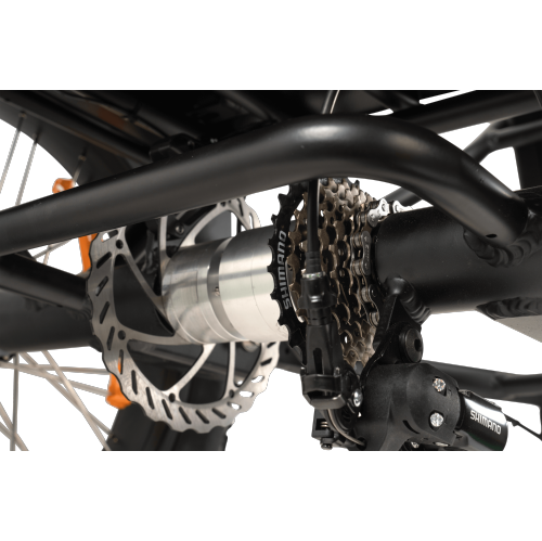 FORTE-MAX EBike | 750W Electric Tricycle - Black