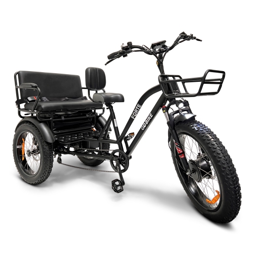 Tricycle électrique 750&nbsp;W à SIÈGE ARRIÈRE FORTE - Noir