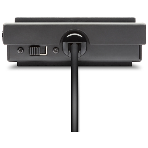 Pédale forte ASP-1 MKII d'Alesis