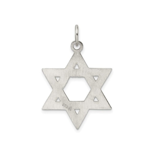 Sterling Silver Textured Star of David Pendant Necklace with Chain