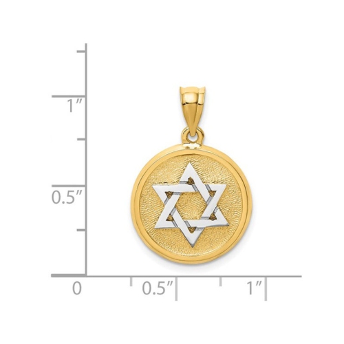 14K Yellow Gold Star of David Disc Charm Pendant Necklace with Chain