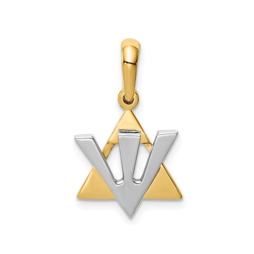 Image 1 de 4.. Collier à pendentif en or jaune et blanc 14K K avec étoile de David Shin