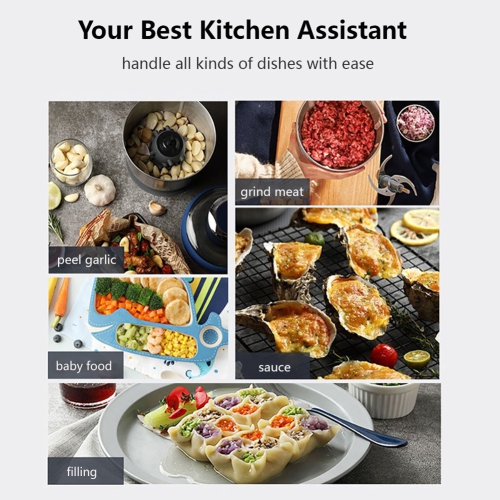 Joydeem JD-376B Electric Food Processor,Meat Grinder with Garlic Peeler