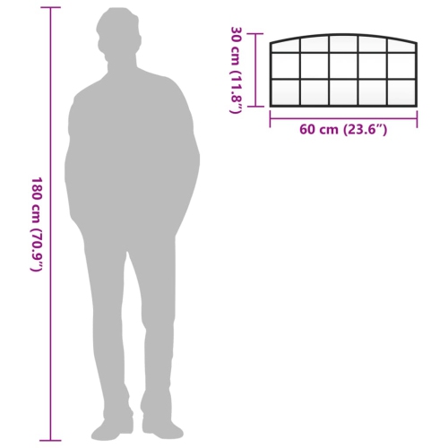 vidaXL Wall Mirror Black 60x30 cm Arch Iron