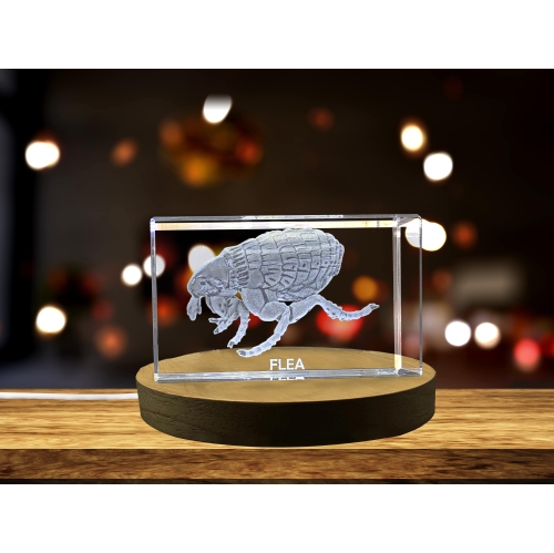 Whimsical Flea Crystal Carvings | Exquisite Gems Etched with Miniature Pets