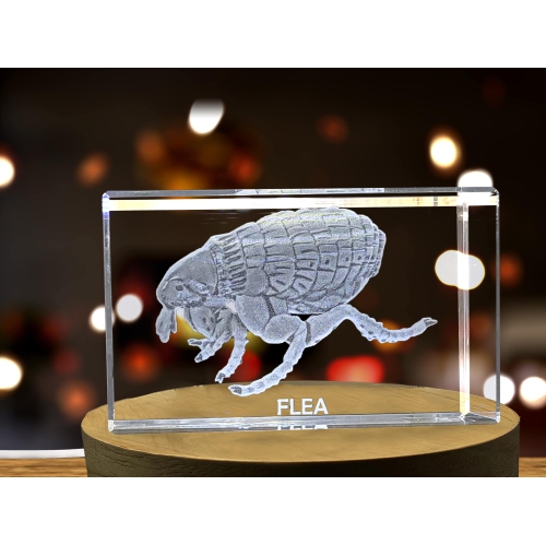 Whimsical Flea Crystal Carvings | Exquisite Gems Etched with Miniature Pets
